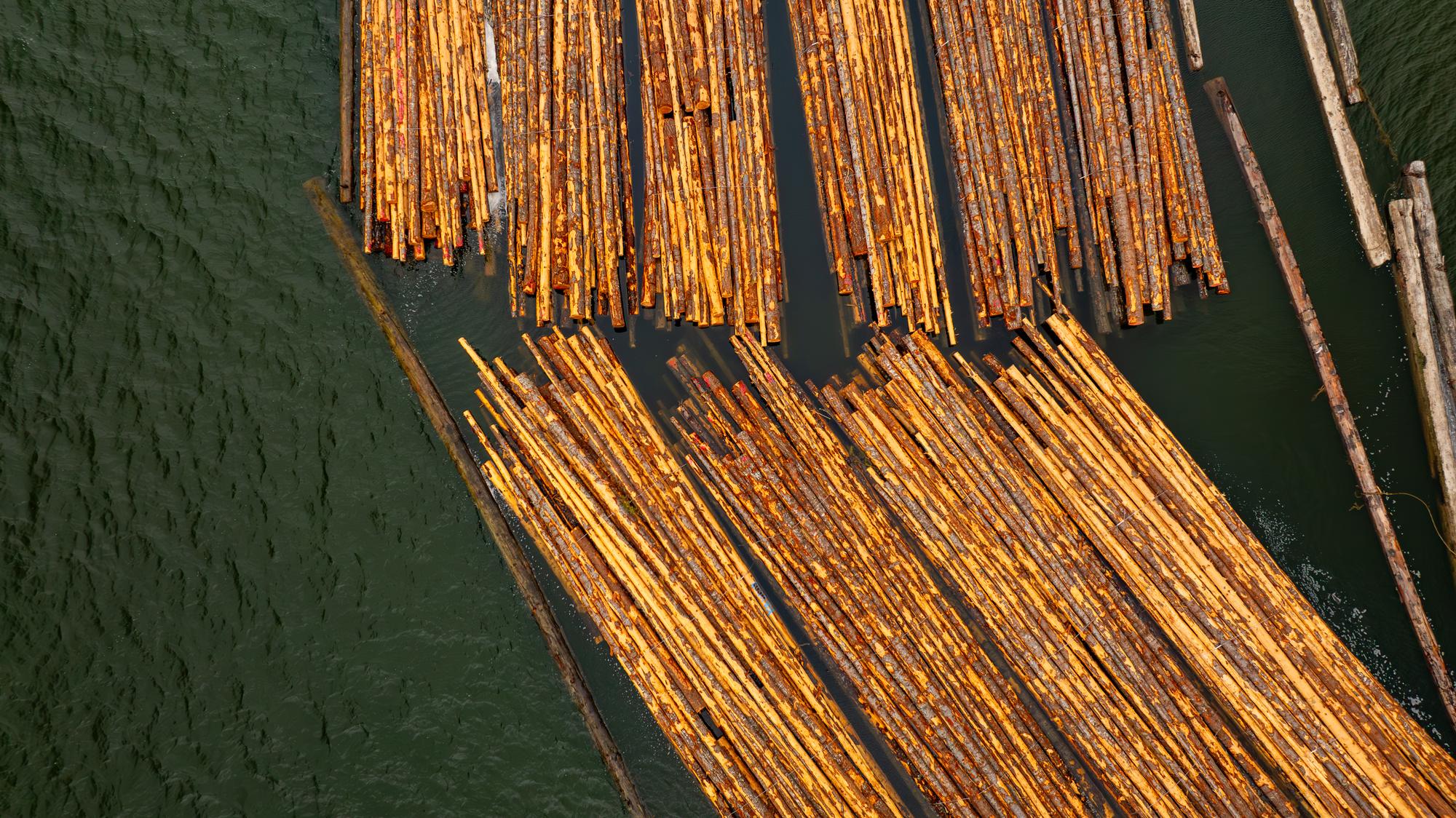 Sqomish Forestry log booms from above
